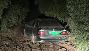 Dos vecinos de Huelva, atascados con su coche cuando intentaban robar aceitunas en Arahal