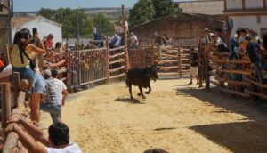 Fiestas en honor de la Virgen del Pino: así vive Niebla sus tradicionales capeas