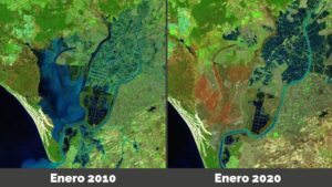 Investigadores alertan de que el Cambio Climático podría hacer desaparecer las marismas de Doñana