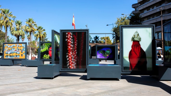 Los 'Colores del mundo', en la plaza Doce de Octubre