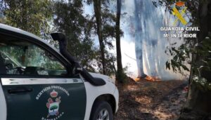 Detenido por provocar hasta cinco incendios forestales en Bonares