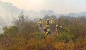 Bomberos trabajan en un nuevo incendio en Moguer