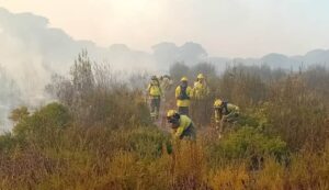 Declarado un incendio en el paraje Los Llanos de Moguer