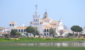 Doñana ha salido de otras peores