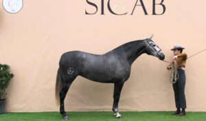 Gran éxito de la Familia León de Hinojos en Salón Internacional del Caballo 2024