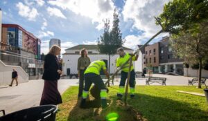 Huelva retoma la campaña de plantación con una nueva partida de 207 árboles