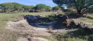 Llueve en Doñana, pero no lo suficiente