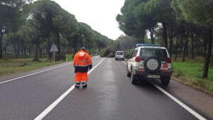 Un pino cae sobre un coche que circulaba por Hinojos