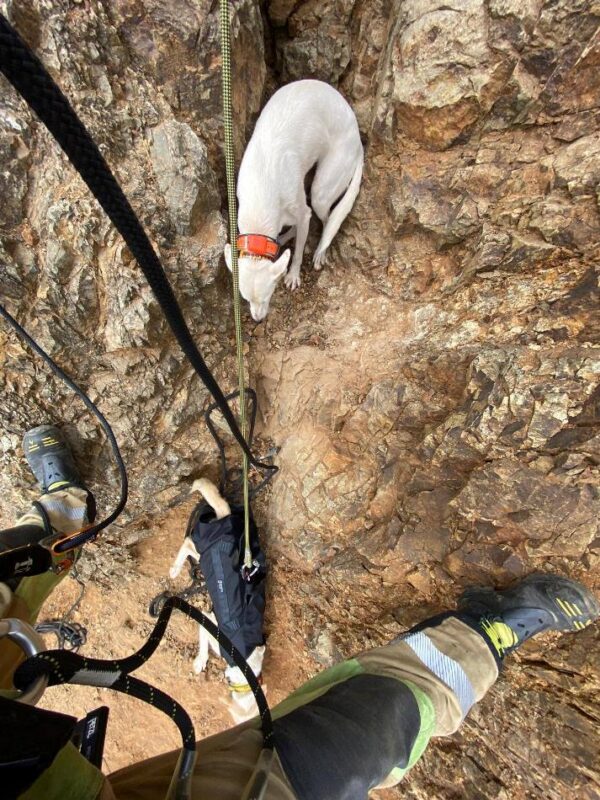 Bomberos rescatan a dos perros atrapados en una ladera en El Cerro de Andévalo