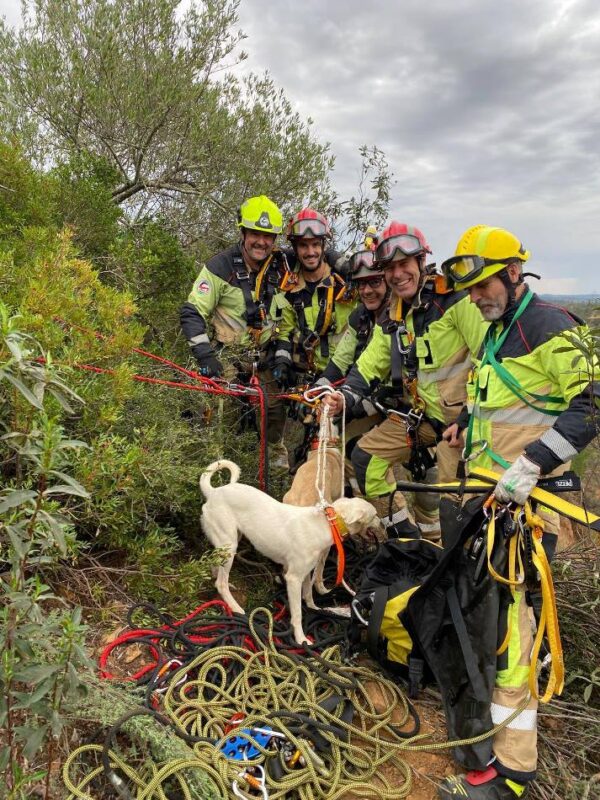 Bomberos rescatan a dos perros atrapados en una ladera en El Cerro de Andévalo