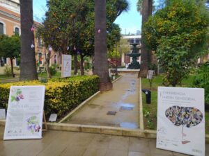 triple-exposicion-arboles-singulares-huelva