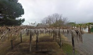 Un Bosque de la Poesía en la Casa Forestal Malatao de Cartaya