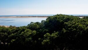 Cuatro espacios naturales del litoral de Huelva, declarados zonas especiales de conservación