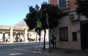 Huelva-recogida-naranjas