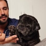 Cómo cuidar a tu perro con osteoartrosis: errores y consejos