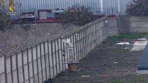 Siete detenidos por robar cobre en plantas fotovoltaicas y naves de municipios de Huelva y Sevilla